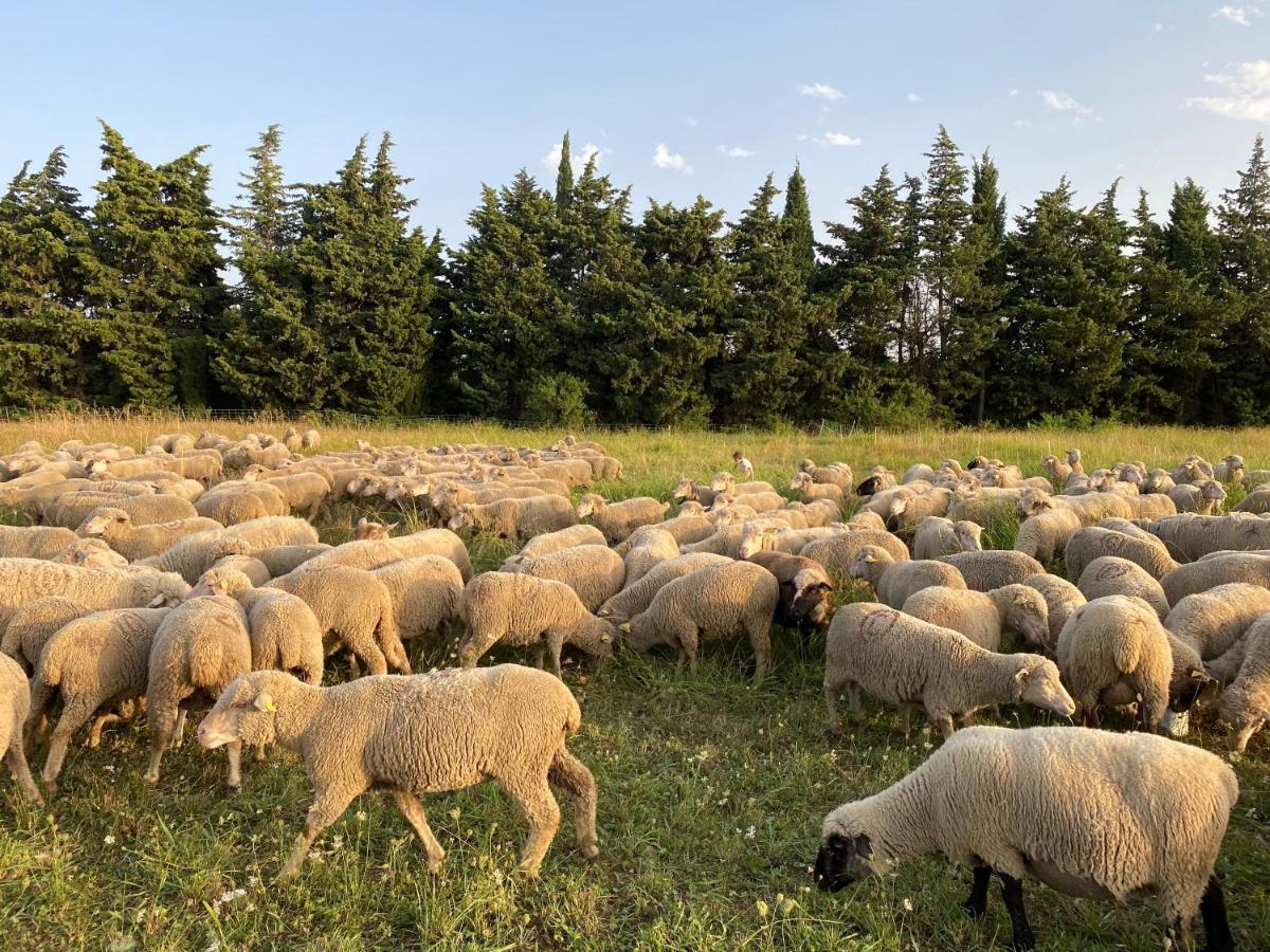 Вилла Studio A La Ferme Арль Экстерьер фото
