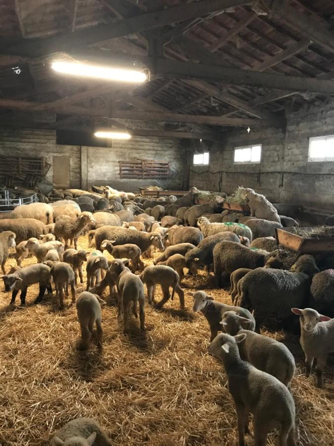Вилла Studio A La Ferme Арль Экстерьер фото