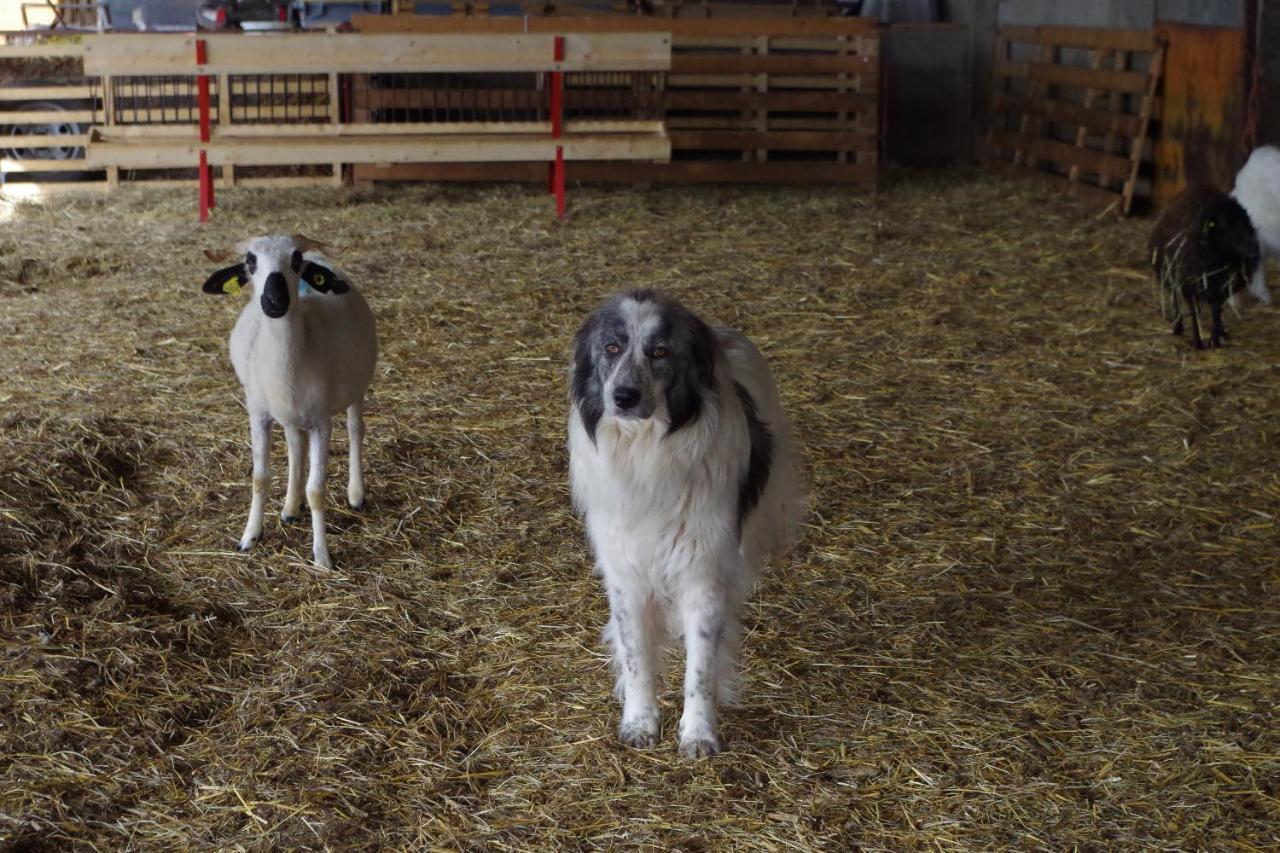 Вилла Studio A La Ferme Арль Экстерьер фото